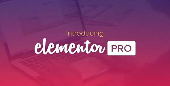 Elementor Pro Wordpress Eklentisi